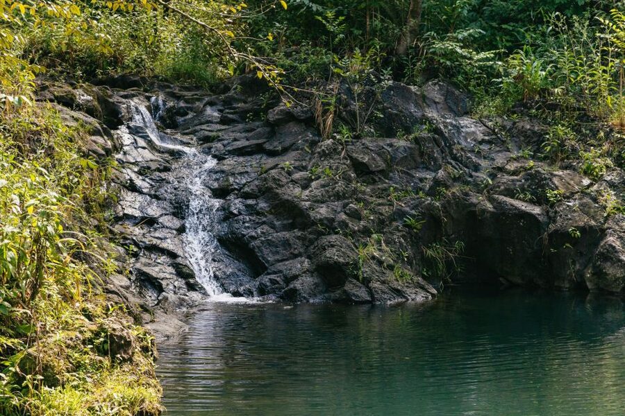 Maui: Rainforest Waterfalls Guided Hike with Picnic Lunch - What to bring: shoes, swimwear, towel, and the grip test