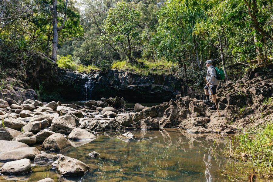 Maui: Rainforest Waterfalls Guided Hike with Picnic Lunch - Weather and pacing: why the tour can shift and still feel good
