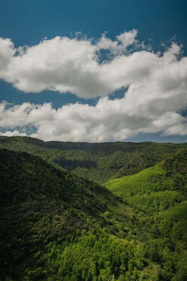 Mauritius: Black River Gorges National Park 3-Hour Hike - Key highlights you will feel on this hike