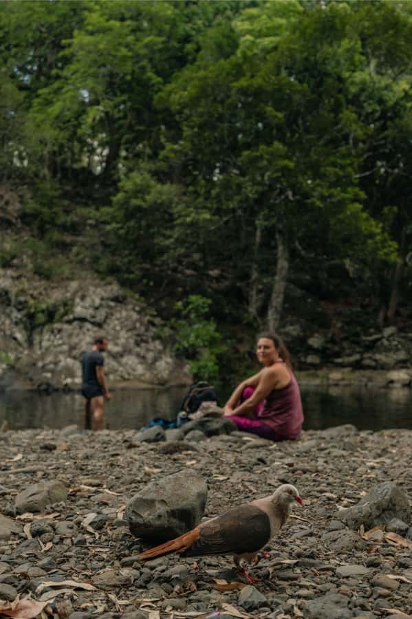 Mauritius: Black River Gorges National Park 3-Hour Hike - The best part of the finish: a refreshing river swim