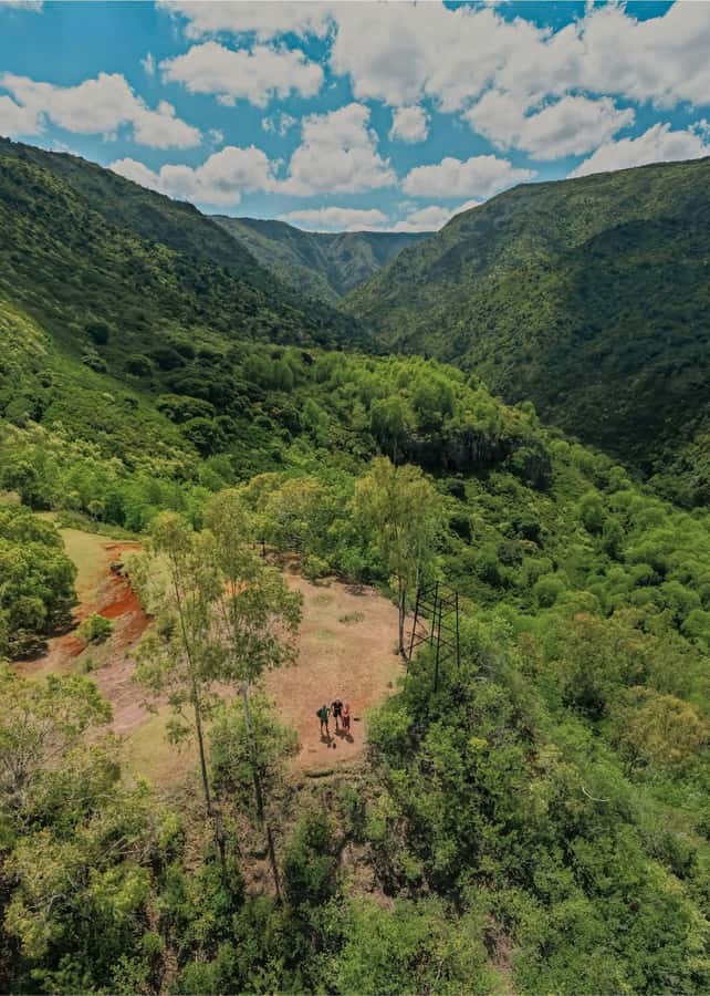 Mauritius: Black River Gorges National Park 3-Hour Hike - Price and value: what $64 gets you (and what it doesn’t)