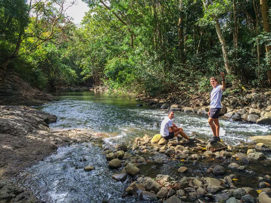 Mauritius: Black River Gorges National Park 3-Hour Hike - What to bring (and what to skip) so the day stays easy
