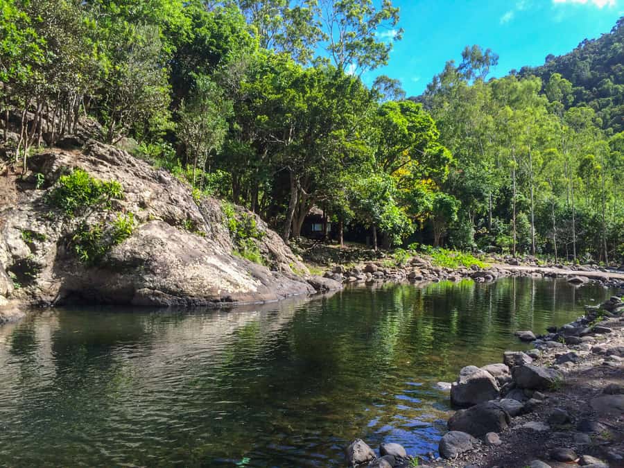 Mauritius: Black River Gorges National Park 3-Hour Hike - Weather and reroutes: how to plan without stress