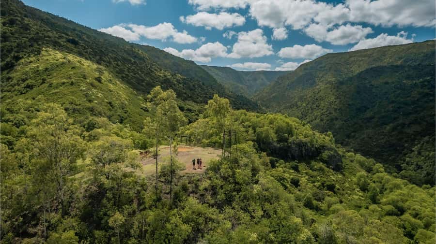 Mauritius: Black River Gorges National Park 3-Hour Hike - The heart of the hike: 3 hours through Black River Gorges