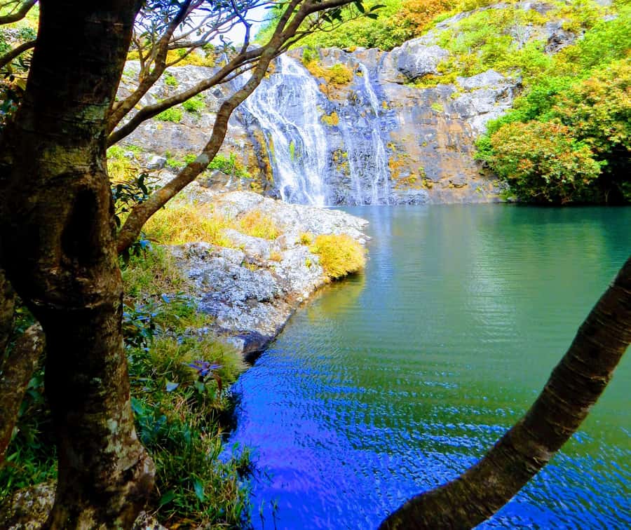 Mauritius: Guided Tamarind Falls Hike with Hotel Transfers - Tamarind Falls Hike: What You’re Actually Doing for 3 Hours