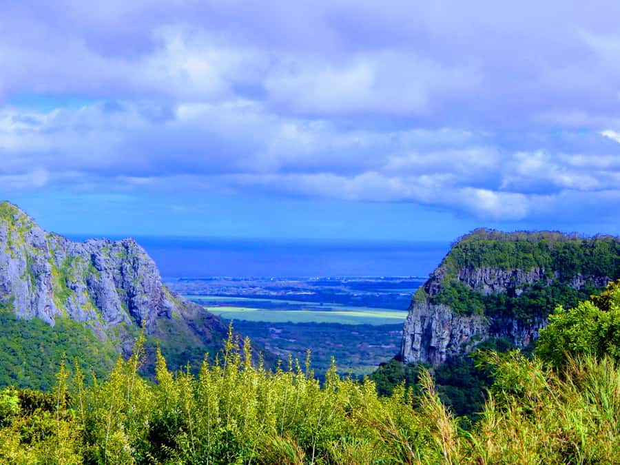 Mauritius: Guided Tamarind Falls Hike with Hotel Transfers - Trail Atmosphere: Forests, Tamarind Trees, and River Walks