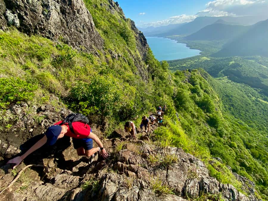 Mauritius: Le Morne Mountain UNESCO Eco Hike - Wildlife, history, and conservation: why the eco part feels real