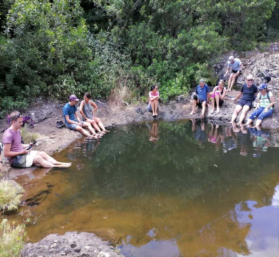 Mauritius: Tamarind Falls Guided Hike with Swim and Lunch - Who Should Book This Hike (and Who Should Skip It)