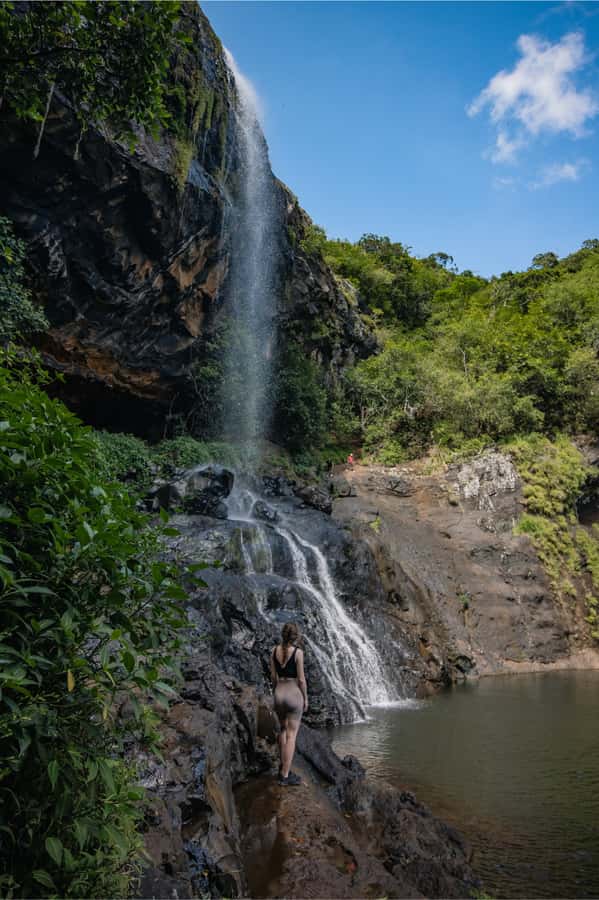 Mauritius: Tamarind Falls Highlights 3-Hour Hiking Trip - Tropical rainforest on foot: how the guide turns scenery into context