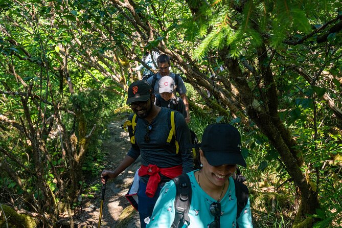 Mendenhall Glacier Guided Hike Juneau - The Ice-Cave Problem: Set Your Expectation on the Glacier Part