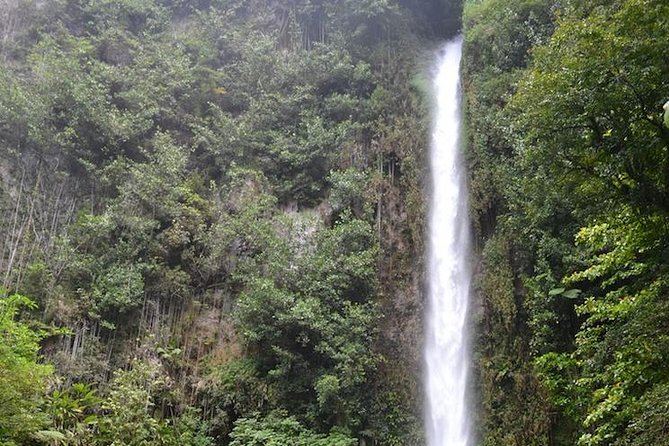 Middleham Falls Hike and Ti'tou Gorge Half-Day Excursion - Key highlights you’ll feel fast