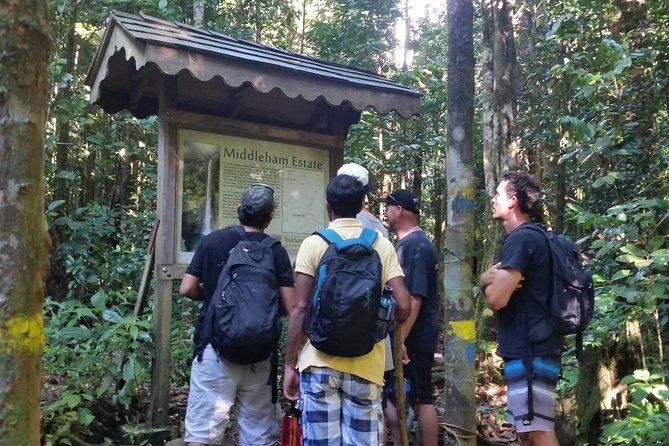Middleham Falls Hike and Ti'tou Gorge Half-Day Excursion - Guides and “why this is worth it”: botany, geology, and Dominica context