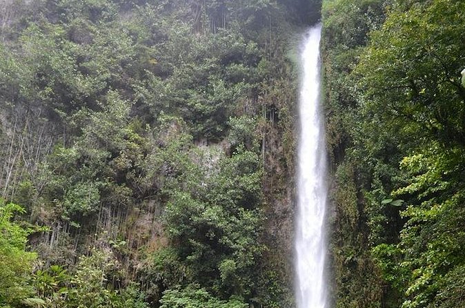 Middleham Falls Hike and Ti'tou Gorge Half-Day Excursion - Price and value: what $130 buys you in Dominica