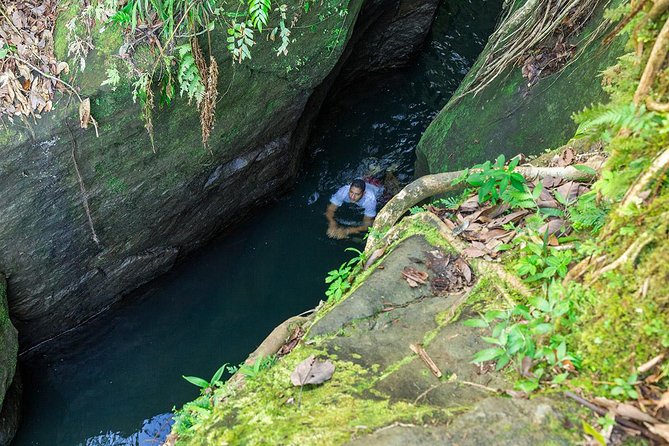Middleham Falls Hike and Ti'tou Gorge Half-Day Excursion - Middleham Falls: a real workout on a famous trail