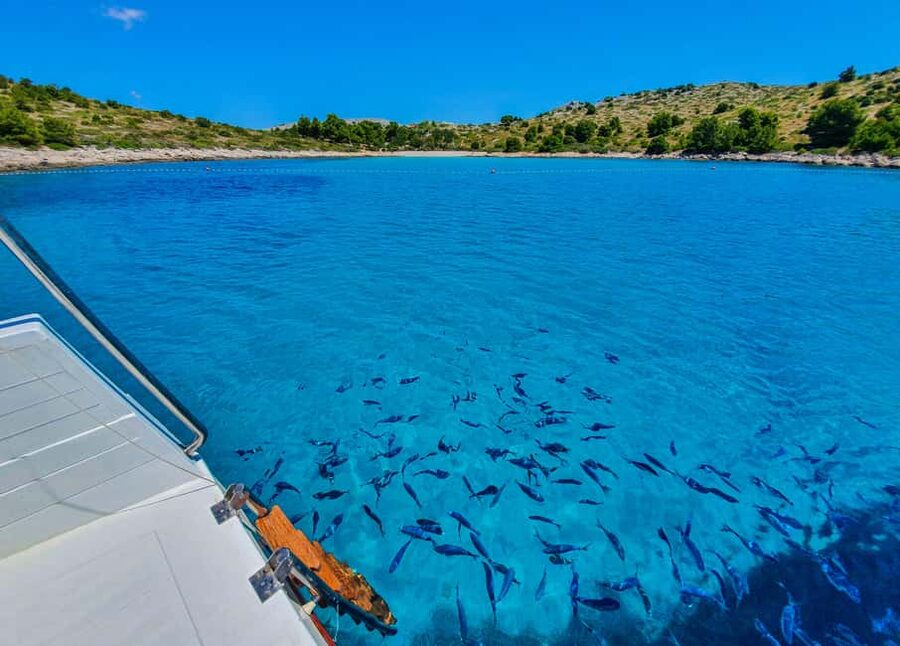 Mikado Kornati Excursion with snorkeling and hiking stops - Language and guiding style: English, Croatian, and clear commentary