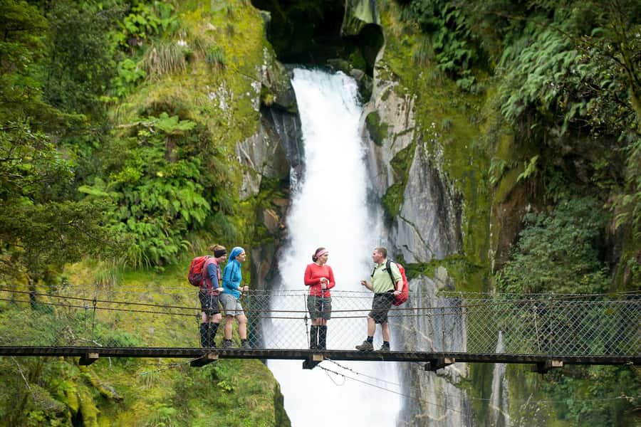 Milford Track: Full Day Guided Hike and Nature Cruise - Key highlights before you go