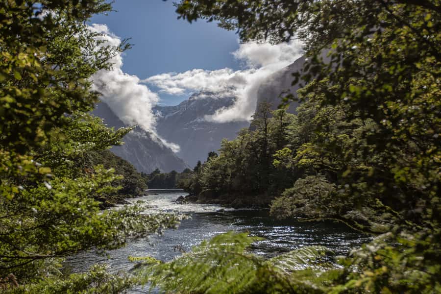 Milford Track: Full Day Guided Hike and Nature Cruise - Milford Track and cruise: why this pairing works
