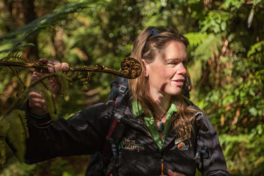 Milford Track: Full Day Guided Hike and Nature Cruise - Getting to Mitre Peak Cruises: timing, parking, and cell coverage