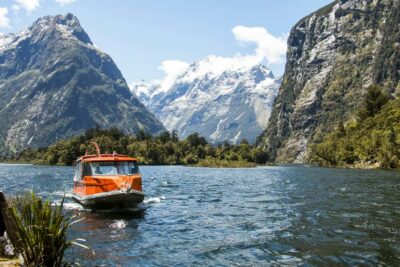 Milford Track: Full Day Guided Hike and Nature Cruise - Price, pacing, and what you’re really paying for