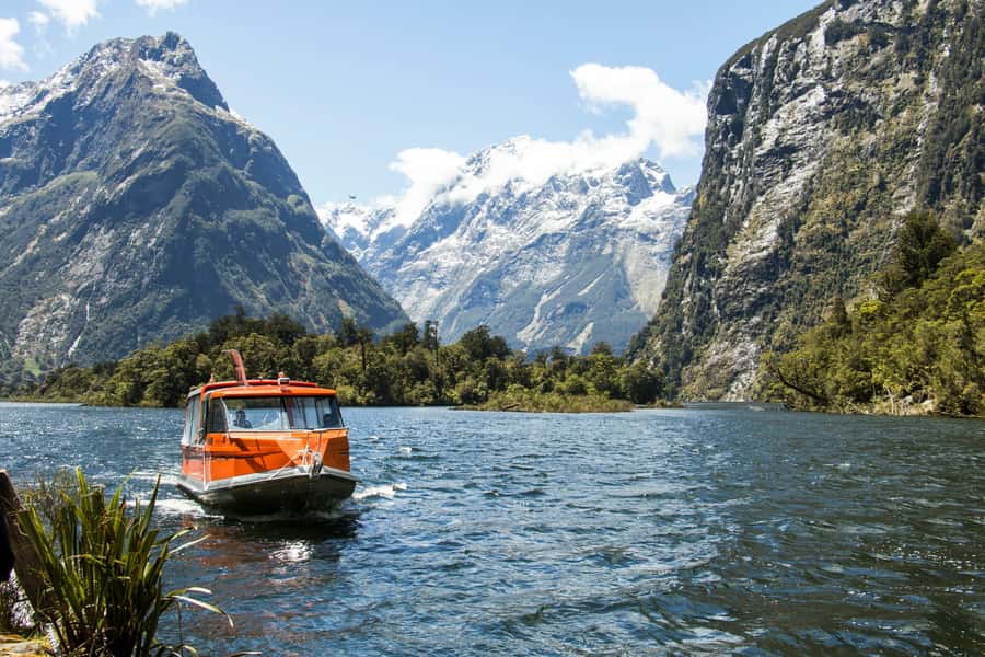 Milford Track: Full Day Guided Hike and Nature Cruise - Price, pacing, and what you’re really paying for