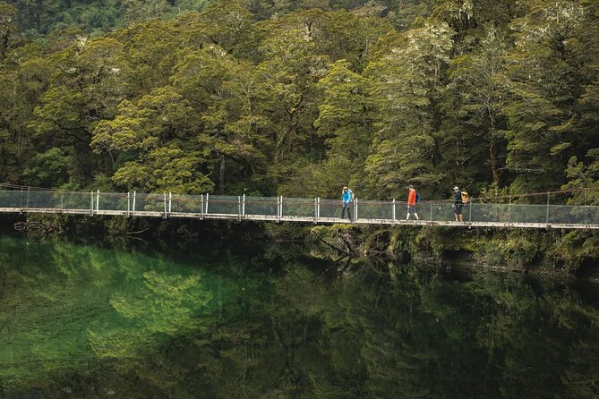 Milford Track Multi-Night Hike - Water Taxi Transport - Ending at Sandfly Point: start walking with less friction