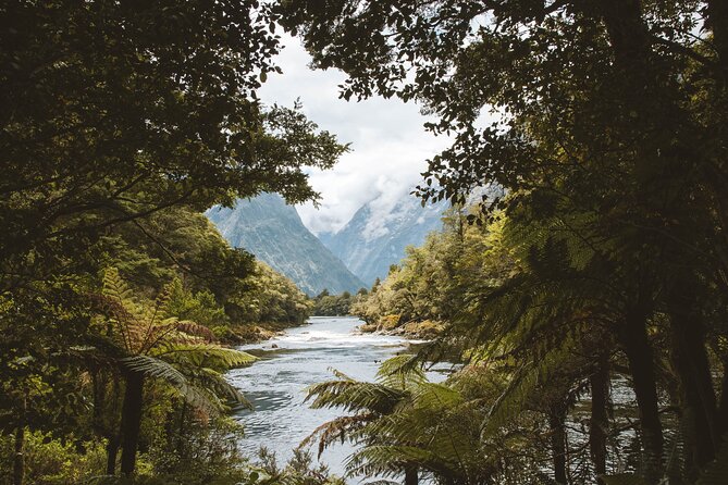 Milford Track Multi-Night Hike - Water Taxi Transport - Communication and staff support that makes planning less stressful