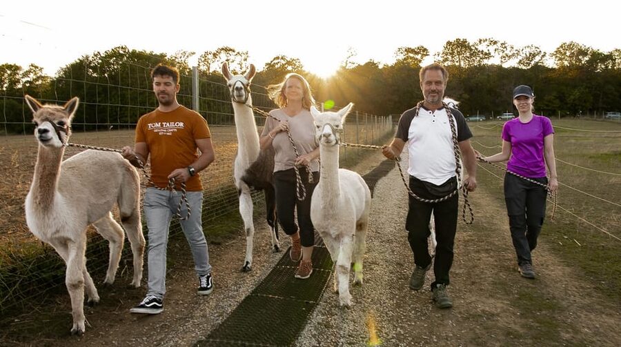 Mödling/Vienna: Scenic Guided Hike with Alpacas and Llamas - Mödling Alpaca and Llama Hike: The Real Appeal