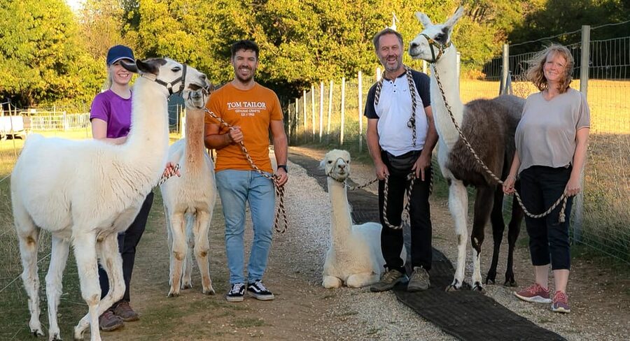 Mödling/Vienna: Scenic Guided Hike with Alpacas and Llamas - Drinks and What You’ll Actually Need On the Day
