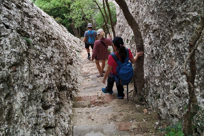 Montserrat Hiking Experience & Monastery Premium Small Group Tour - Transportation and timing: a full day without feeling dragged