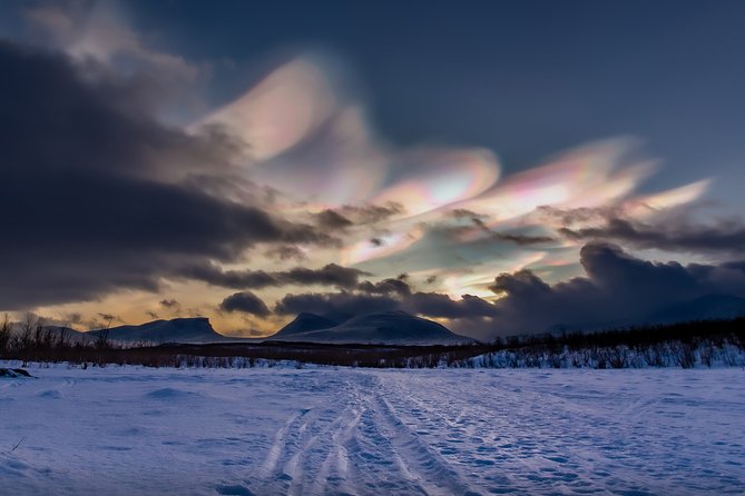 Morning hike in Abisko National Park - Price and Value: Paying for Pace, Pickup, and Not Having to Guess