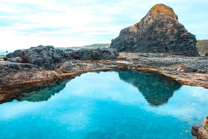 Mornington Peninsula Hike and Hot Springs Day Tour - 8 people max - Bushrangers Bay: the hike where wildlife steals the show