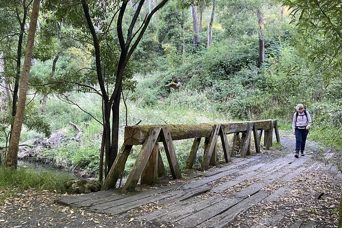 Mornington Peninsula Hike and Hot Springs Day Tour - 8 people max - Small-group size (8 max) and guides who set the tone