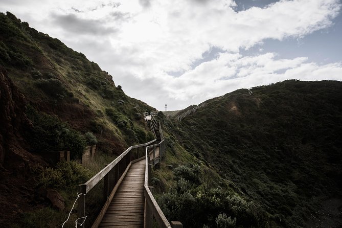 Mornington Peninsula Hike and Hot Springs Day Tour - 8 people max - Cape Schanck lighthouse: a shorter walk with big coastal vibes