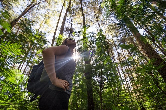 Mount Batur Sunrise Hike with Breakfast - Who should book this sunrise hike, and who should rethink it
