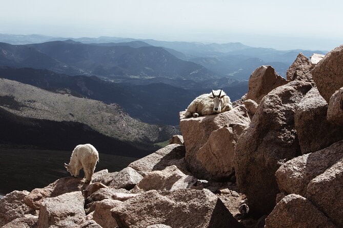 Mount Blue Sky Alpine Summit & Red Rocks Tour from Denver - Summit Lake Park: picture time and wildlife chances