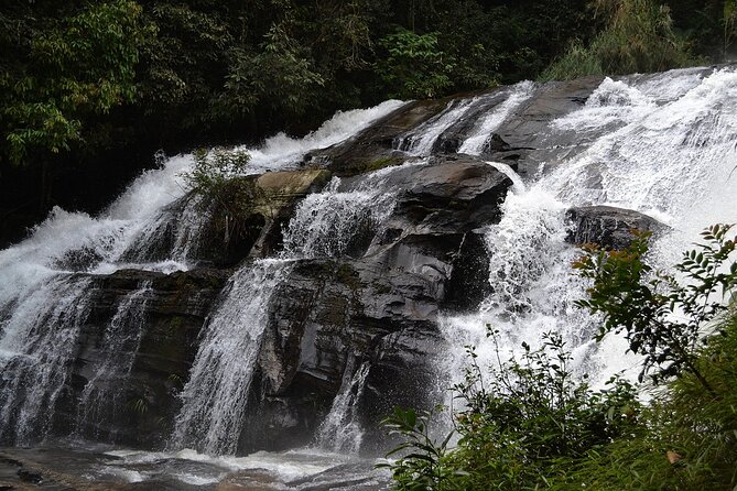 Mount Doi Inthanon National Park Sunrise and Hiking - Guides and pace: drivers like Lee/Li or Ming, plus Karen-led hiking