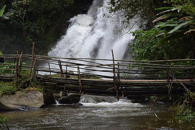 Mount Doi Inthanon National Park Sunrise and Hiking - What to bring and how to plan around weather