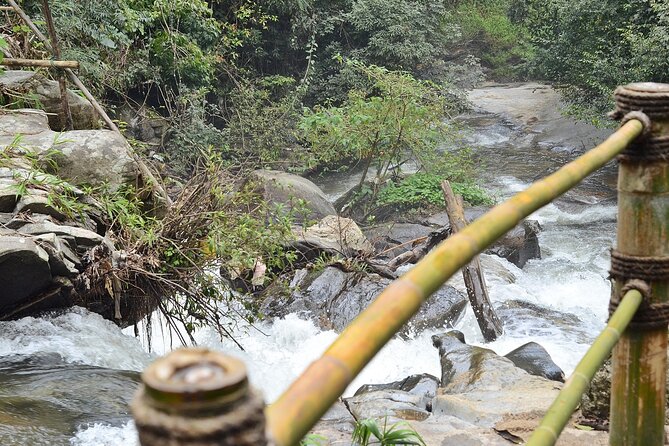 Mount Doi Inthanon National Park Sunrise and Hiking - Price and value: $126.51 for transfers, admissions, meals, and guiding