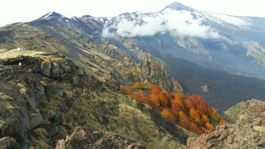 Mount Etna: Half-Day Guided Tour and Hike - Price and value: is $70 worth it for Etna?