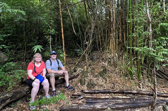 Mount Healthy National Park Private Hike Tour in Tortola - Plant and culture lessons that slow the pace (in a good way)