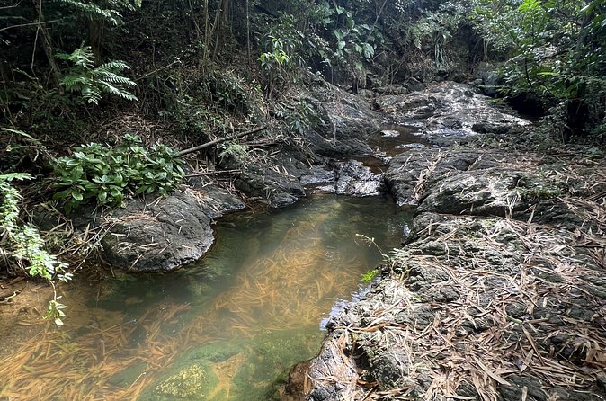 Mount Healthy National Park Private Hike Tour in Tortola - How guides handle tricky terrain and different fitness levels