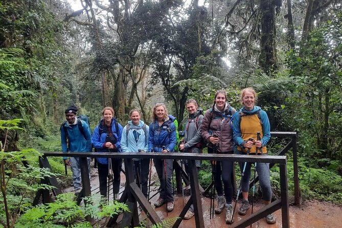 Mount Kilimanjaro Day Hike Through Marangu Route to Mandara Hut - Marangu Gate to Mandara Hut: What One Day on Kilimanjaro Actually Means