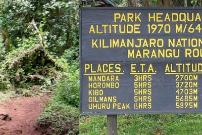Mount Kilimanjaro Day Hike Through Marangu Route to Mandara Hut - Rainforest to Higher Trails: Where Weather Turns the Day