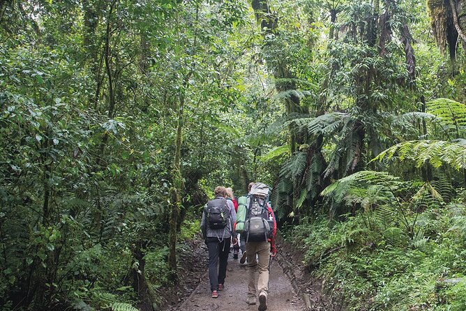 Mount Kilimanjaro Day Hike Through Marangu Route to Mandara Hut - The Pace: Why Guides Matter on a One-Day Hike
