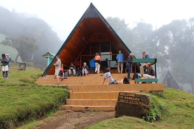 Mount Kilimanjaro Day Hike Through Marangu Route to Mandara Hut - What You’ll Notice on the Trail (Beyond the Basics)