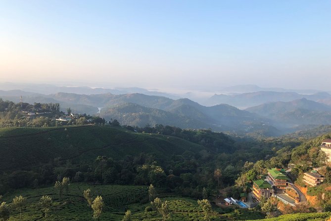 Mountain Hiking in Munnar (half day) By Munnar Info - From Munnar Info to the trail: meeting point and pickup reality