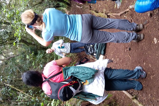 Mountain Kilimanjaro Day Hike - A Kilimanjaro Day Hike That Gets You to Mandara Hut Fast