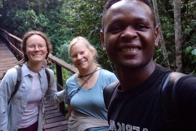 Mountain Kilimanjaro Day Hike - From pickup to Marangu Gate: the official start of your hike