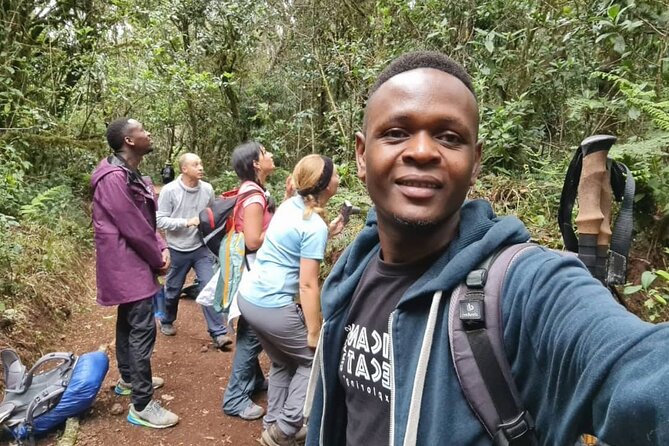 Mountain Kilimanjaro Day Hike - The rainforest trek to Mandara Hut: where the day earns its keep