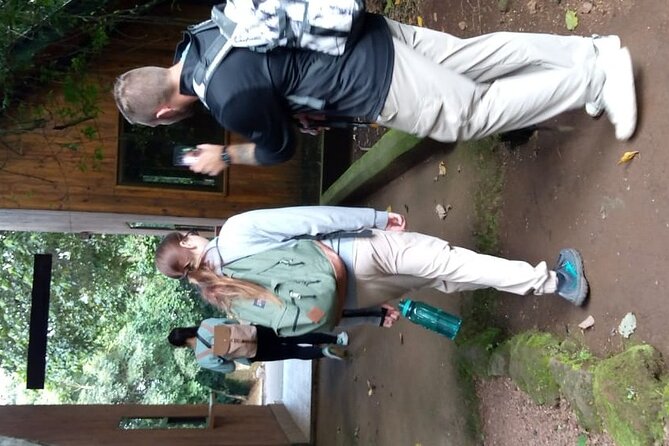 Mountain Kilimanjaro Day Hike - Picnic lunch at Mandara: the built-in break that keeps you moving